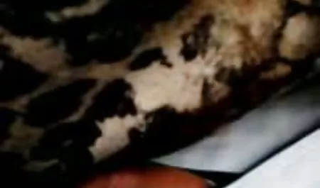 اماتور غیر حرفهای,سبزه, سه نفری, پستان بزرگ, خروس بزرگ ویدیوسکس الکسیس