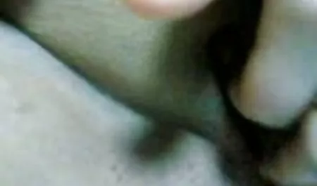 نو جوان سگس الگسیس