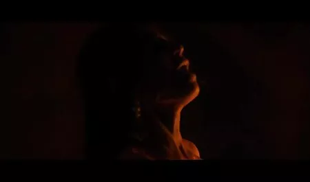 ایالات کون بزرگ الکسیس تگزاس متحده لیلی نگاهی به یک استراحت از کار آبنوس سیاه