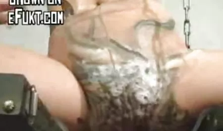 مربی اخبار فیلم سکسی الکسیس انلاین